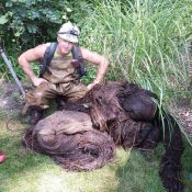 Modernizing Michigan’s Sewer System: A Collaborative Effort